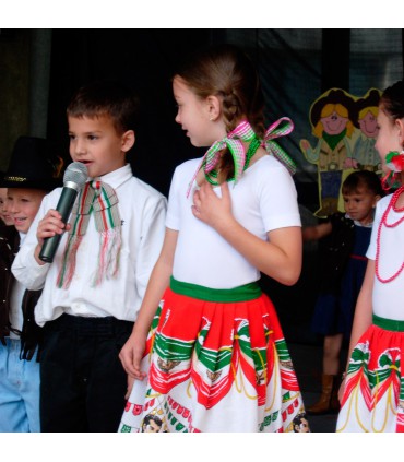 Satín Tricolor Patria