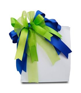 Organza Lisa Económica