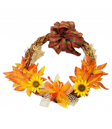 Organza Lisa Económica