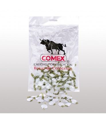 Clavel de Listón Mediana