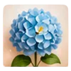 Hortensia de listón